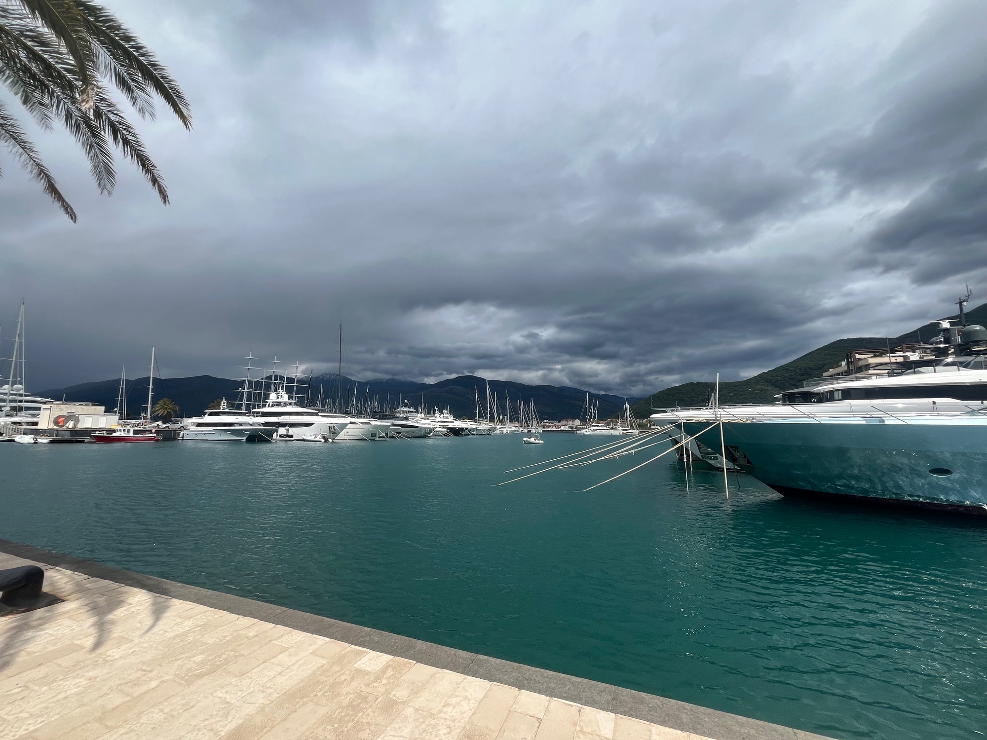 Tivat