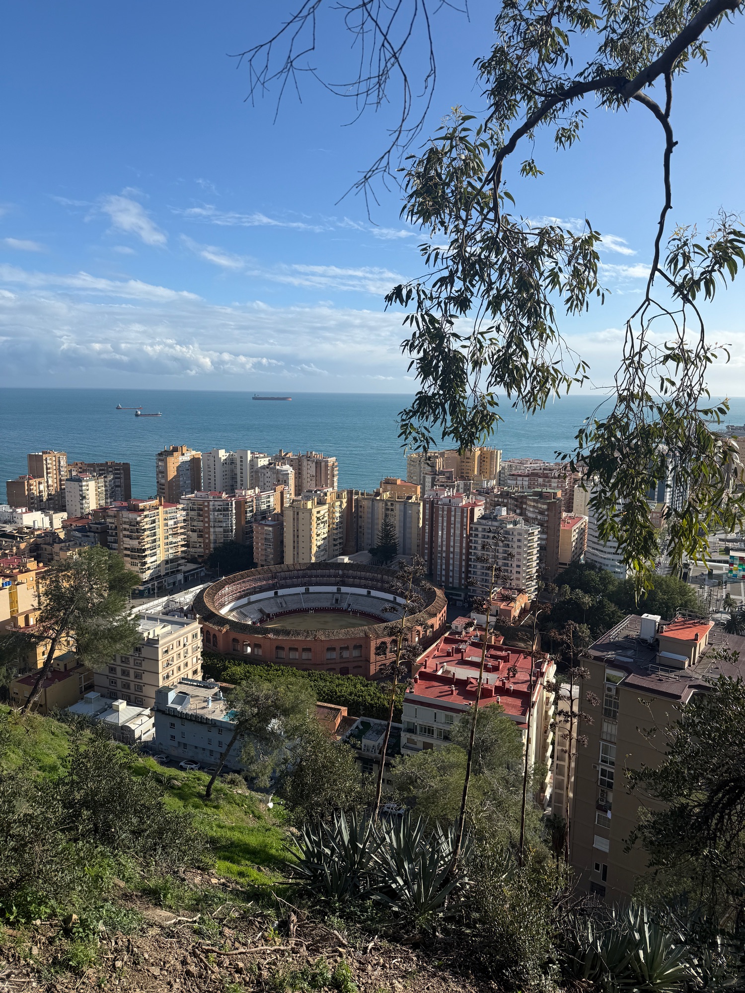 Malaga