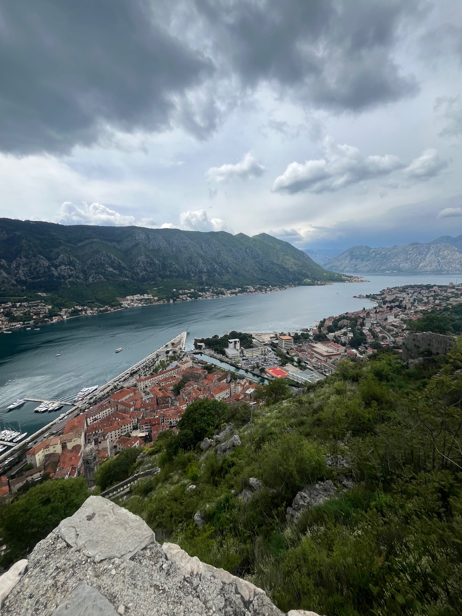 Kotor
