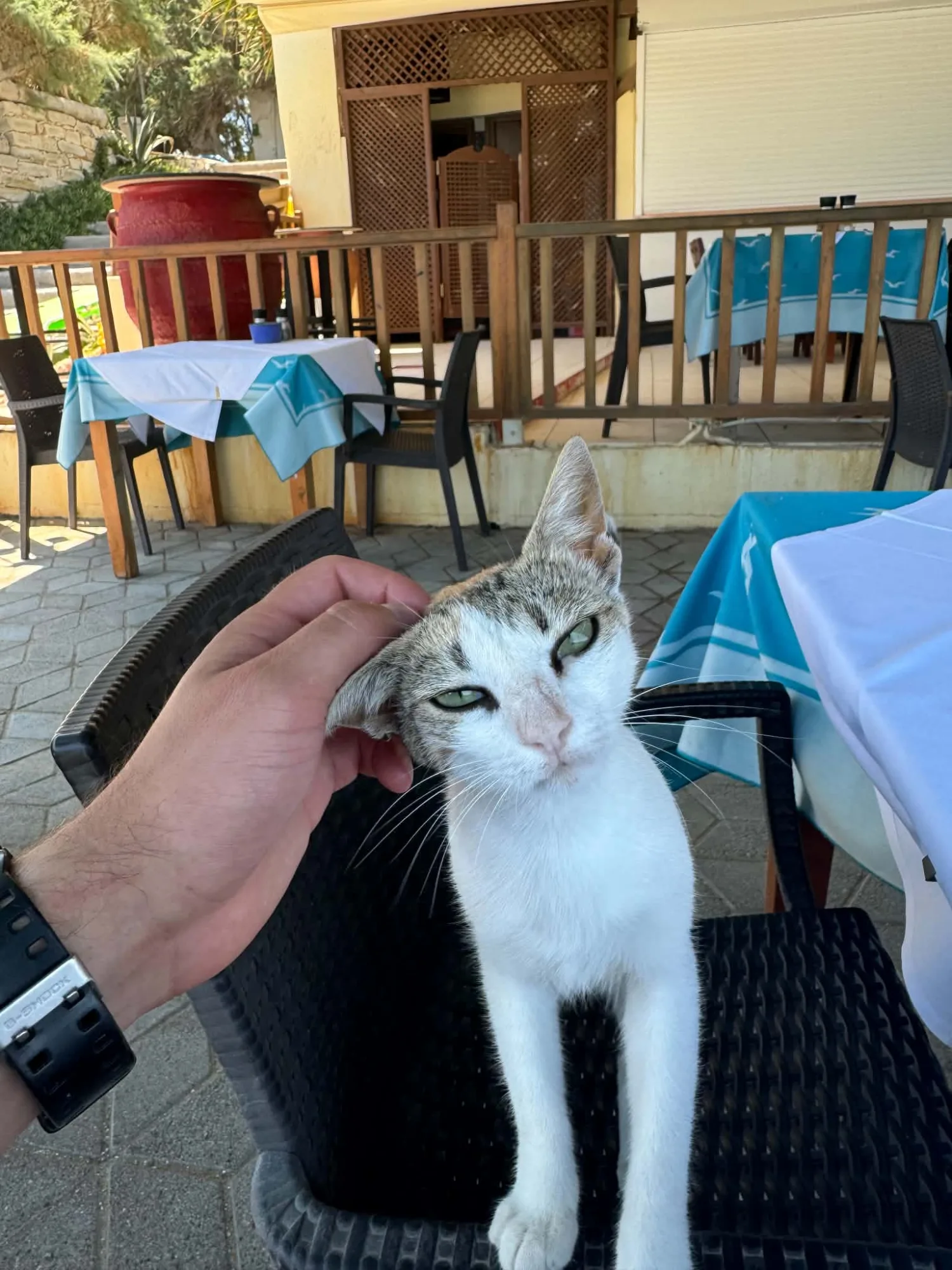 KRETA - GRECKIE WAKACJE — zdjęcie 3